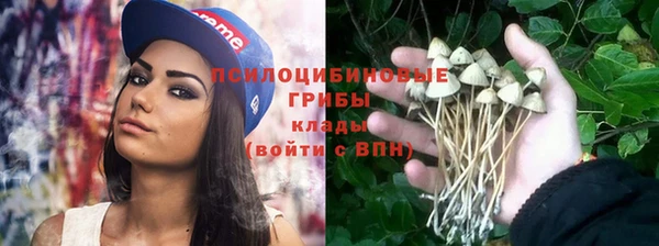 метадон Михайловка
