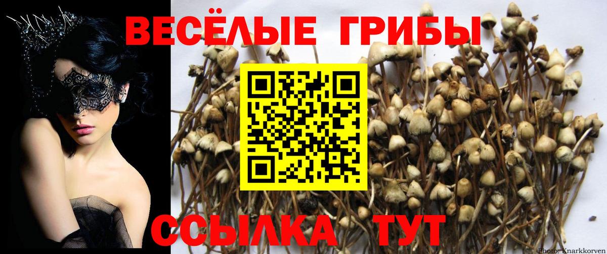 Псилоцибиновые грибы мухоморы  Вход с VPN  Пермь 